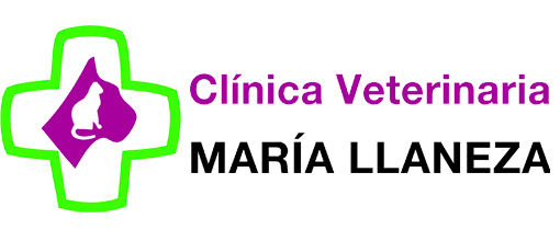 clínica veterinaria Mieres