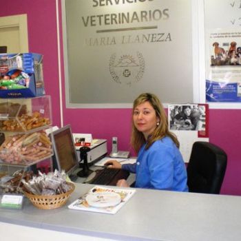 Clínicas veterinarias María Llaneza en Mieres. Imágenes de instalaciones3